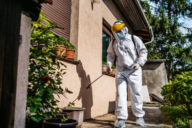 Pest Control Cost in Pine Valley, CA
