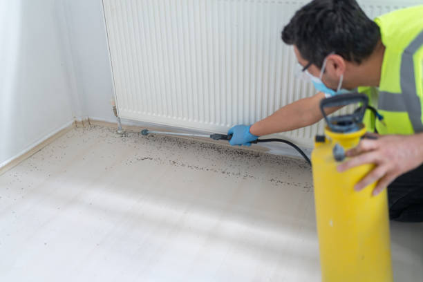 Best Pest Control Near Me in Pine Valley, CA