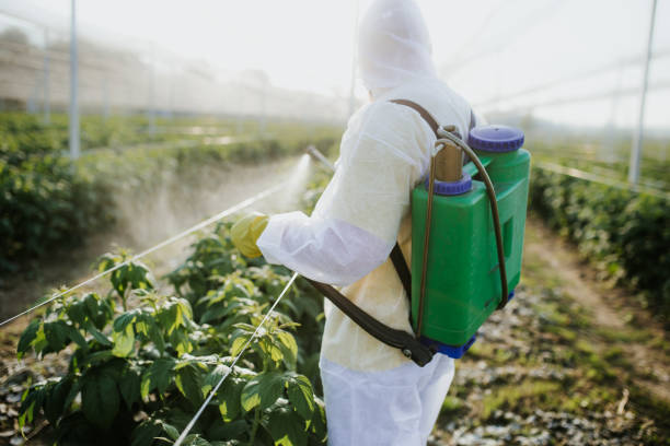 Best Residential Pest Control  in Pine Valley, CA